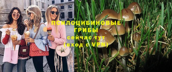 каннабис Арсеньев