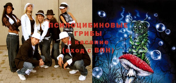 тгк Армянск
