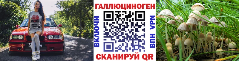 Галлюциногенные грибы Psilocybe  цены наркотик  Малоярославец 